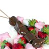 Chocolate Fountain Sephra THE LEGEND 19" 6lb Stainless Steel-6